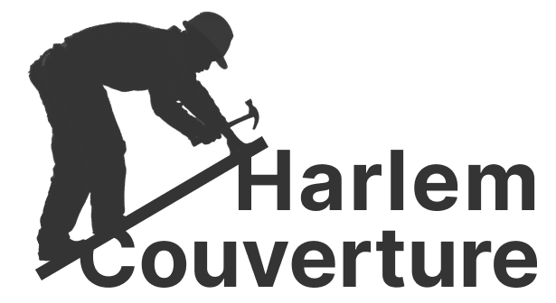 Frame 1Harlem-couverture-logo